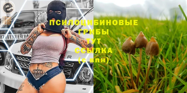 эйфоретик Алексин